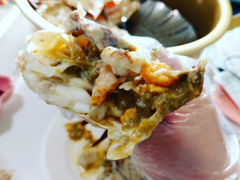 【豊漁10％OFF中】ワタリガニ メス大サイズ冷凍発送１ｋｇ（約2-3杯） 渡り蟹 ガザミ 梭子蟹 ケジャンにも！  がざみ 蟹通販 宮城県産 活状態から冷凍品【冬ギフト】