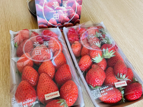栽培期間中農薬不使用　苺　3パックセット(二等品)