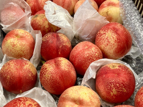 極甘！とれたてネク桃・ハネージュA品（約1㎏）