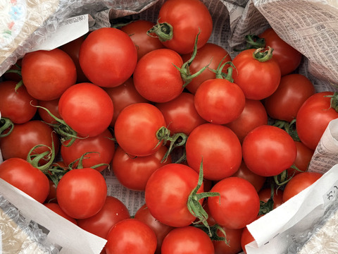 豊作特価⭐️甘くて柔らかい！中玉トマトフルティカ１キロ