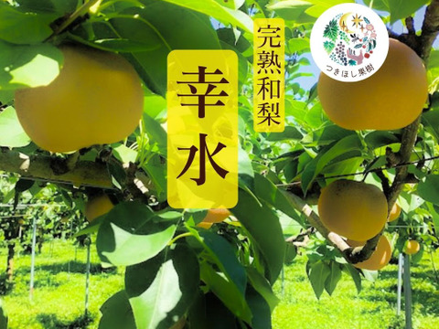 【ご家庭用】山形県産　樹上完熟『幸水』 3kg