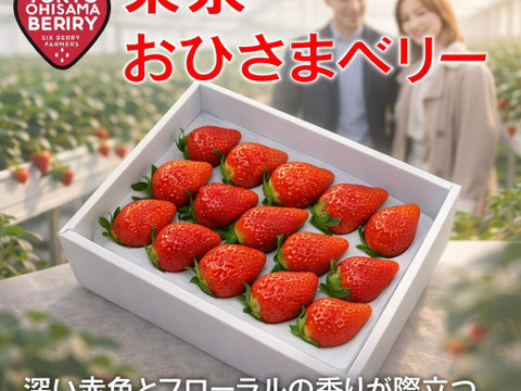 希少いちご【桃薫・東京おひさまベリー食べ比べセット】（桃薫約300g＋東京おひさまベリー約350g／１セットあたり） 贈答 高級 イチゴ 苺 果物 プレゼント 誕生日、バレンタインデー、節分、受験、