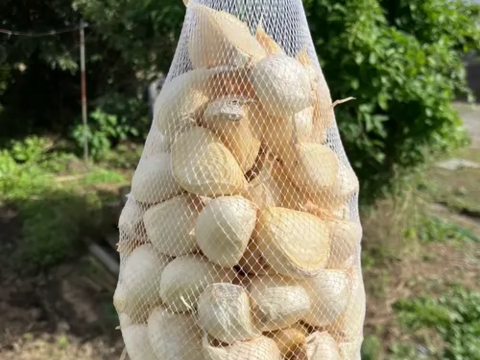 にんにくの王様　青森にんにく『白玉王』大中混合バラにんにく(1kg)