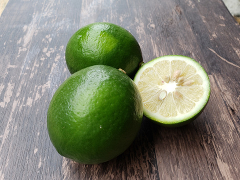 箱込約1㌔　グリーンレモン　収穫後にワックス、防腐剤、防カビ剤不使用