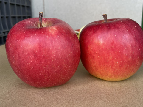 りんごセレクト５種 （B品2㎏）