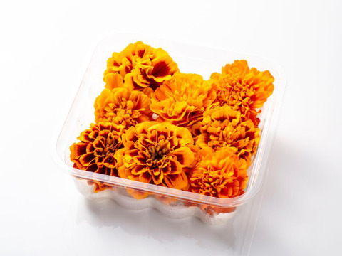美食の演出！エディブルフラワー『SANOKA』マリーゴールド MIX8輪入り 食用花 ケーキ スイーツ 肉料理　魚料理デコレーションにも！