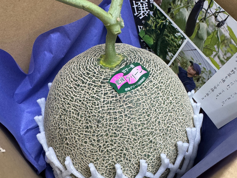 激選】肥後グリーン！熊本県産糖度16度超えメロン 2個入り 4.0kg