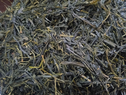 煎茶（2026） やぶきた 新茶 加茂自然農園のお茶　農薬・肥料不使用　緑茶