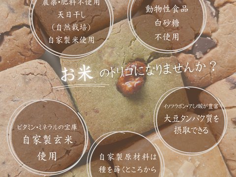 自然栽培米と大豆を使ったグルテンフリー　玄米スコーン　5種　10個入り