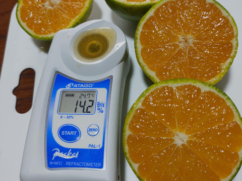 有田みかん【ゆら早生】小粒小玉　2Kg（箱込)