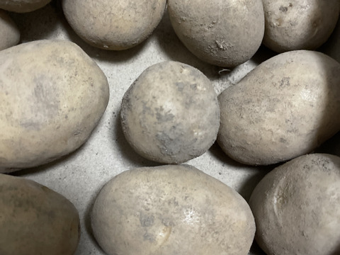 メークイン　70グラム前後小玉　1キロ