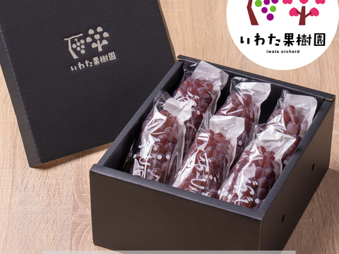 2026年＼8月上旬発送／山形県高畠町産種なしデラウェア約1㎏