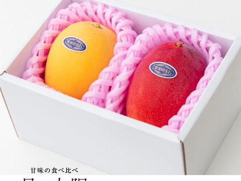 【限定3箱】母の日ギフト💕プレミアム💛朱色と金色のマンゴー食べ比べ☀️太陽マンゴー(2L以上×2玉)