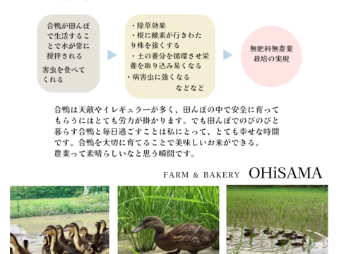 神様のお米イセヒカリ！『アイガモ農法米』農薬、化学肥料不使用！玄米５kg淡路島産