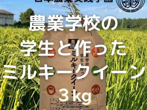 学生と作ったお米　日本農業実践学園の【ミルキークイーン】白米3kgもっちり甘い【無洗米・分搗き対応可】【令和5年産】