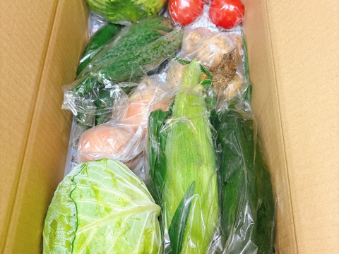 寒暖差が美味しさの秘訣！高原野菜セット【L: 4〜5人用】