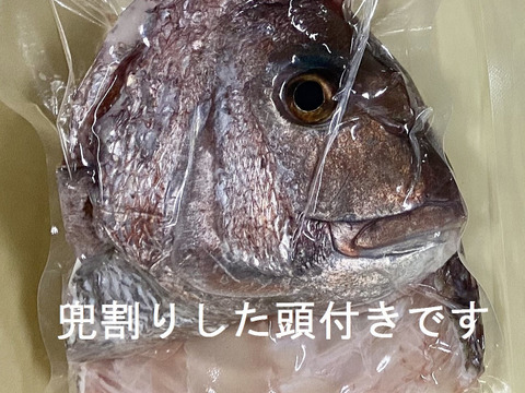 冷蔵】しまなみ海道 宮窪産 天然真鯛まるごと1尾 (約2kg ) 三枚