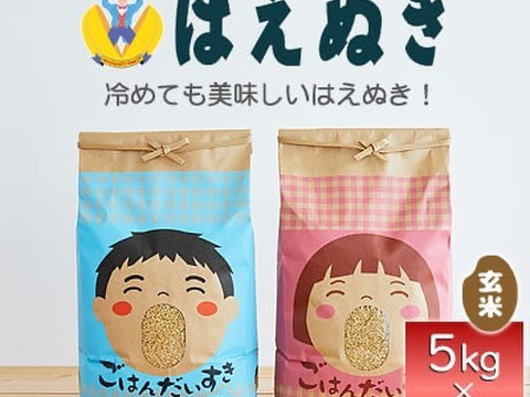 山形県産　はえぬき　玄米　10kg