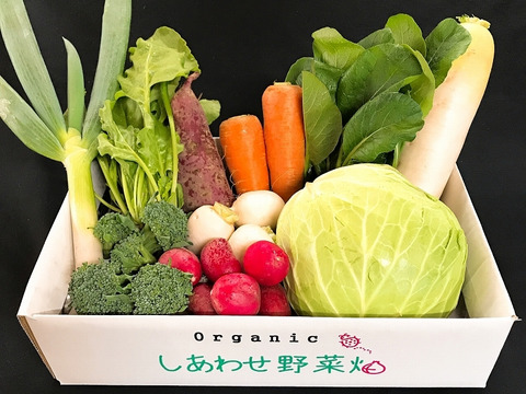 「未来につながる持続可能な農業コンクール」表彰農場提供オーガニック野菜セット