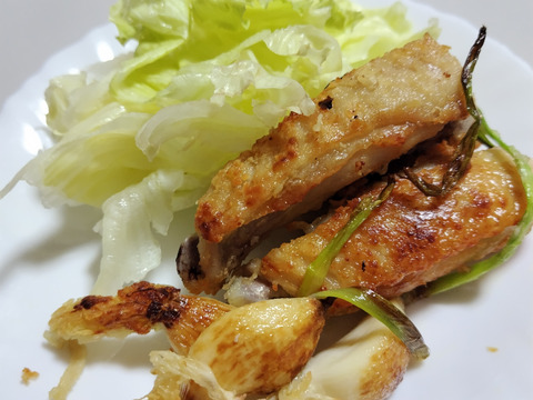 においが残りにくい！屋内水耕栽培　『発芽にんにく』　1袋60g　スプラウトにんにく