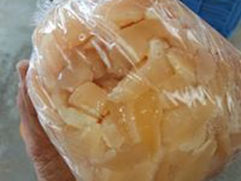 アコヤ 真珠 貝の貝柱500g 冷凍 愛媛宇和島産 愛媛県産の貝類 食べチョク 産地直送 産直 お取り寄せ通販 農家 漁師から旬の食材を直送