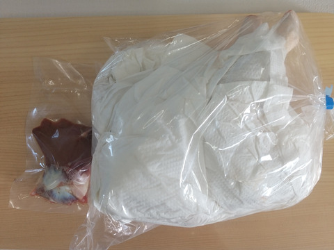 【クリスマス】みやざき地頭鶏まるごとメス１羽中抜き【冷蔵発送のみ】【熨し対応可能】
