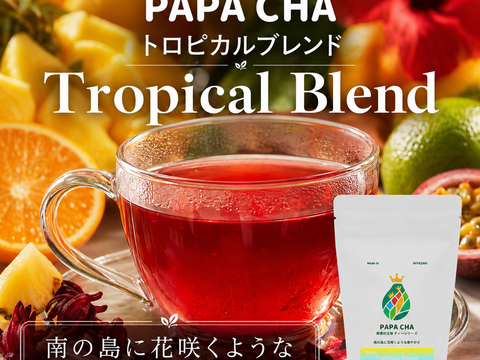 フルーツティー トロピカル 青パパイヤ茶 パパイア王子 国産 ノンカフェイン ティーバッグ ドライフルーツ 酵素 宮崎県産 農薬不使用 無添加 フレーバーティー (ティーバッグ7個)