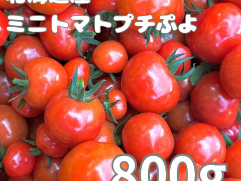 ミニトマトプチぷよ800g