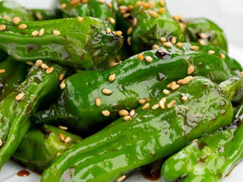 朝採れ『シシトウ 1kg』千葉県南房総の農家より直送！収穫当日発送♪