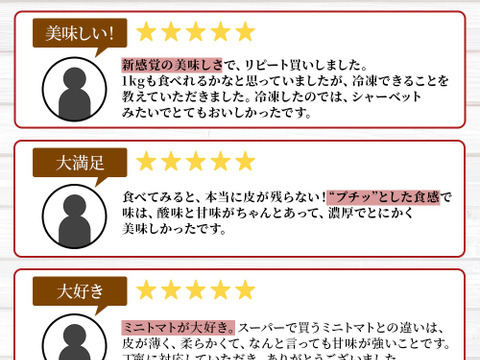 味の正統派！【小鈴】1K