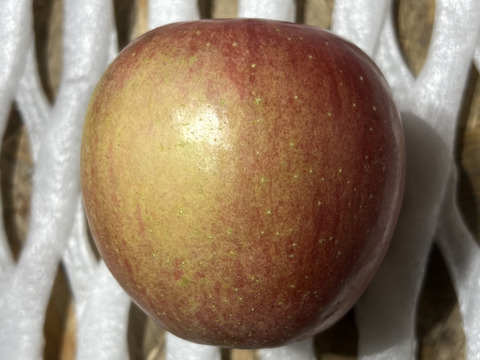 新規農家🔥初出品‼️応援よろしくお願いします🫶🏻
青森県産サンふじ🍎（家庭用・5kg）
まずは当園の味を知ってほしい！特別価格でご提供します！