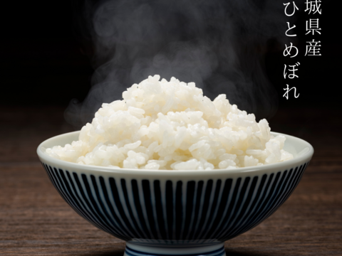 お米/10キロ/新米/ひとめぼれ/精米済み 令和7年 宮城県産 新米 ひとめぼれ 10キロ 白米 精米：宮城県産