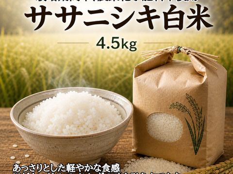 栽培期間中農薬不使用!! 京丹後産『ササニシキ』白米4.5kg
