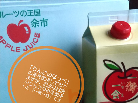 【数量限定・期間限定】りんご果汁100％！余市産りんごジュース 『一檎一会』(1000ml ×3本)