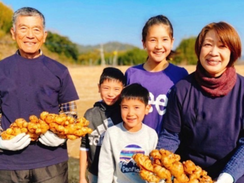 （予約販売）2024年11月中にお届けします！和食・鍋に！【 熊本のとれたて新しょうが4kg】とれたて・露地栽培の新生姜（4kg）