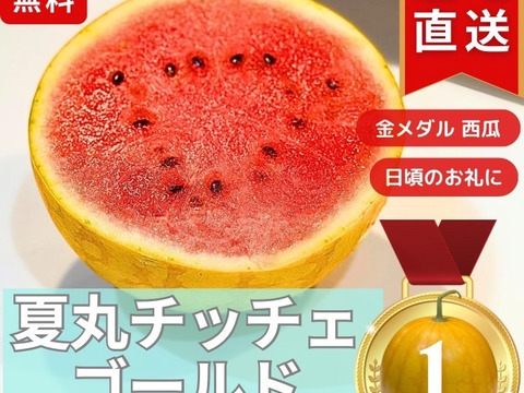 金メダルスイカ【1玉入り】ゴールド 家庭用から贈答可能 秋田県産 すいか フレッシュスイカ 夏の風物詩 ギフト お中元 夏丸 暑中見舞い 美味しい 甘い スイカ 糖度14 ゴールド