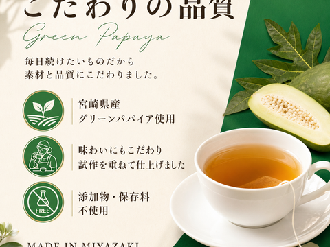 青パパイヤ茶 エナジーブレンド パパイア王子 国産 ノンカフェイン ティーバッグ 酵素 パパイン酵素 ジンジャー 高麗人参 宮崎県産 農薬不使用 無添加 ハーブティー 健康茶 活力 ティーバッグ31個