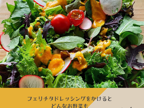 最幸に美味しい！第２回ドレッシング選手権『日本橋三越本店バイヤー賞』受賞★八ヶ岳産★農薬不使用野菜ドレッシング　ラージ♫たっぷりサイズ3本（ビーツ・胡麻・人参）セット