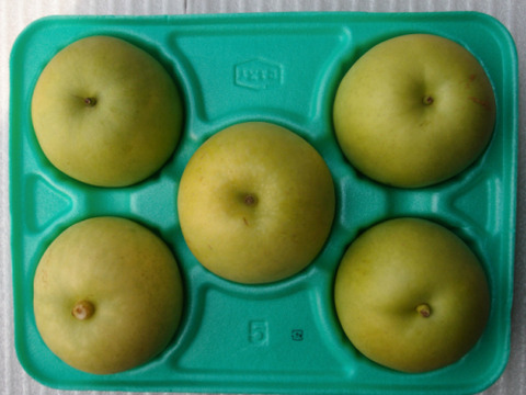 【鳥取県産】二十世紀梨　約2kg