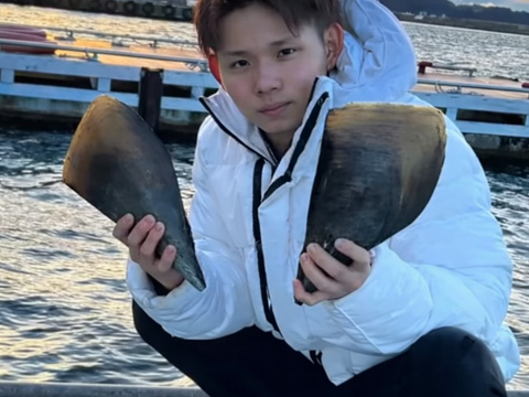 日間賀島産【天然 平貝（タイラギ）】
春が旬，貝柱，貝紐，玉｜刺身用・寿司ネタ・高級貝・産地直送|下処理済発送‼︎6枚