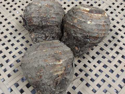 [なゆた農場][訳あり]里芋(土垂)の親芋2kg