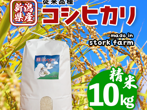 令和7年産【一等米】新潟県産従来品種コシヒカリ10kg