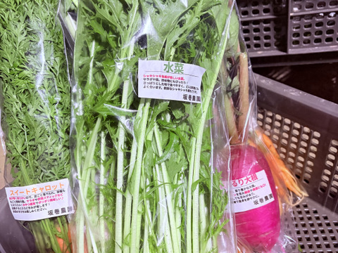 旬の野菜セット！ 大和ルージュ　2本入り
80サイズの箱に7種から10種類程度のお野菜詰め合わせ