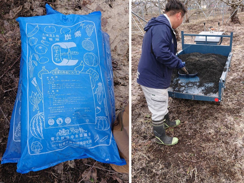 【受取日指定可】最高のバランスのさくらんぼ『紅秀峰』秀２L  1㎏ バラ（500g×2P）