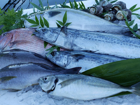 魚詰合せ味付け無し1.5セット11袋
