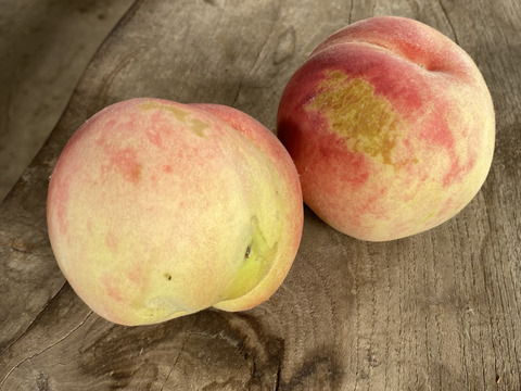 たっぷり家庭用わがままボディ♡もも♡山形県産あかつき♡