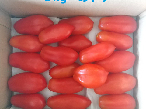 トマトソース作りに◎【有機JAS認証・固定種】トマト サンマルツァーノ 4kg 南アルプスの有機野菜