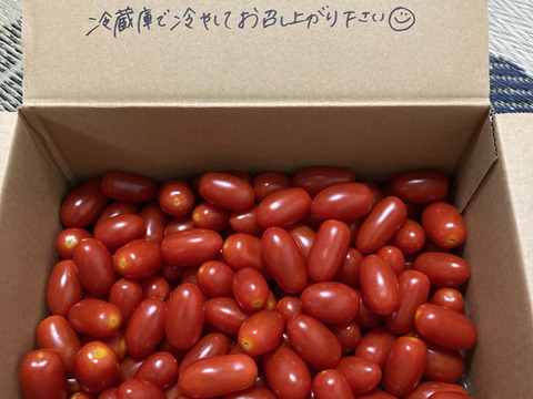 【限定販売】食べたらハマる!?朝採り🍅フルーツトマト<箱込2キロ>