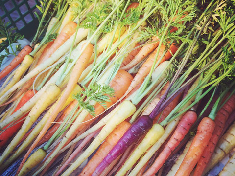定期便　那須高原旬の野菜セット 7～8品種・高原の季節をお届けします！
