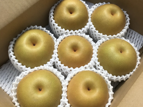 豊水梨（小箱）袋掛け栽培【秀品】天空の村よりお届け♫